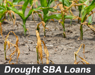 Drought SBA Loans Information